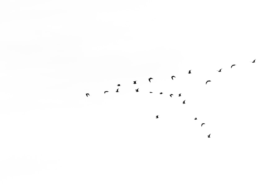Engagement graph