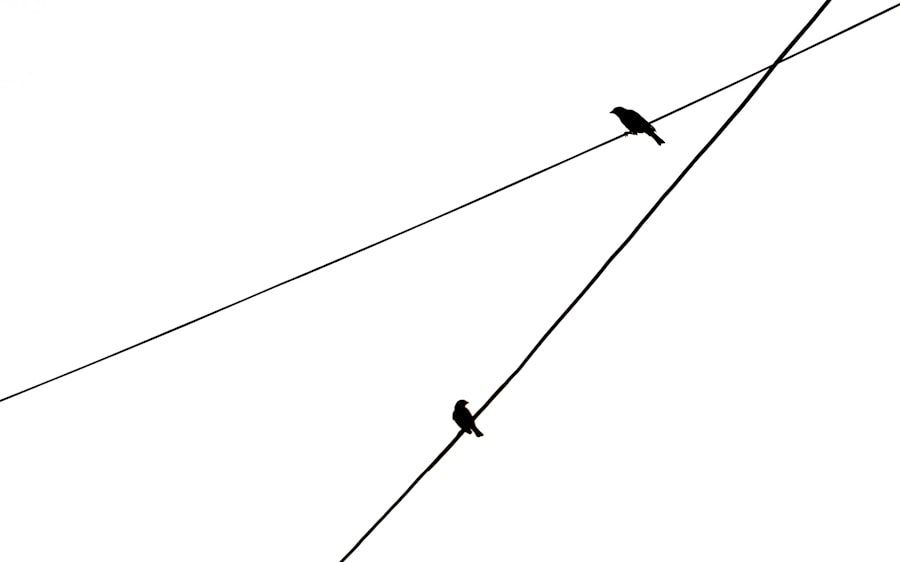 Photo Engagement graph